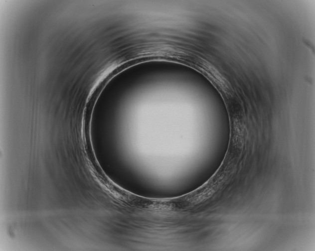 X0000097500788200802291557