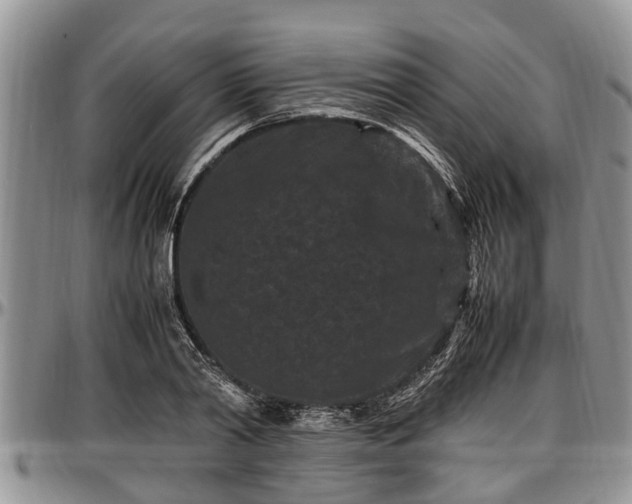 X0000097500790200802291557