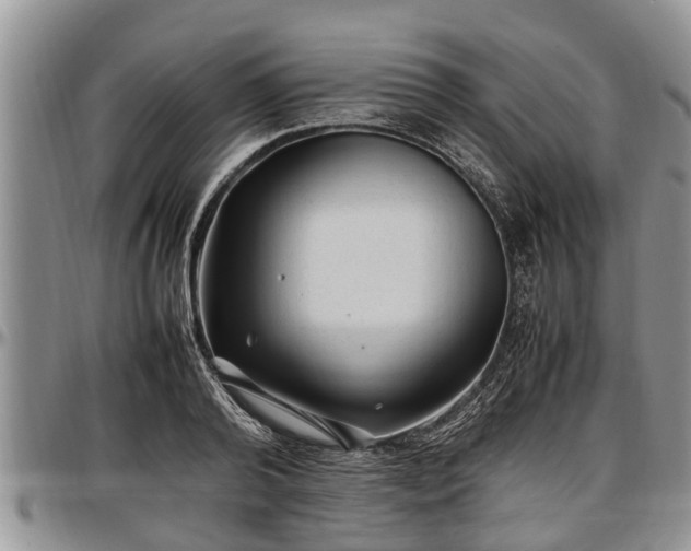X0000097500792200802291557