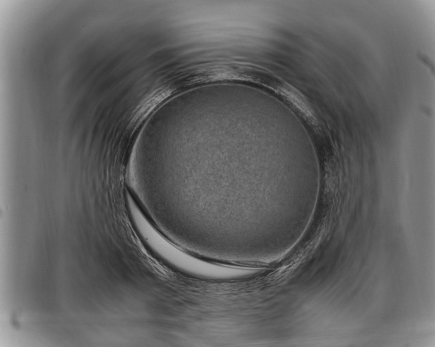 X0000097500793200802291557