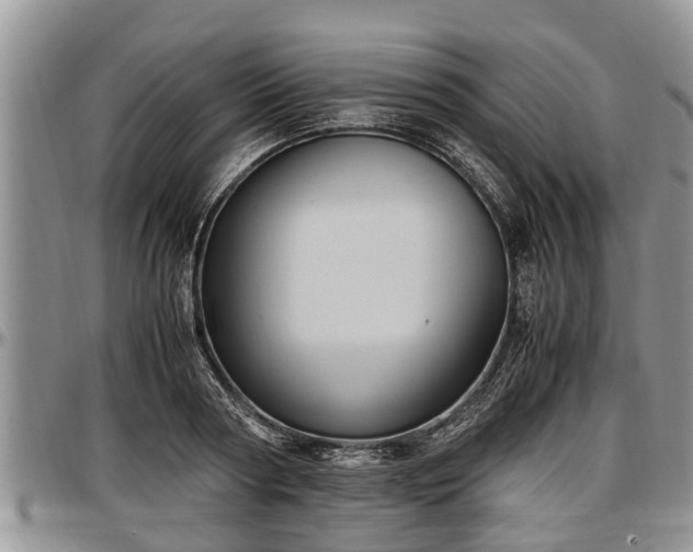 X0000097500794200802291557