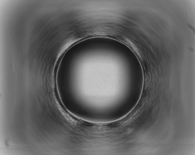 X0000097500795200802291557