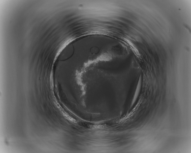 X0000097500796200802291557