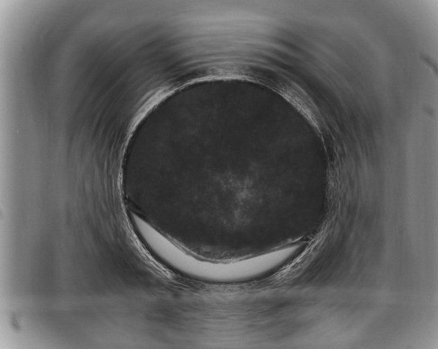 X0000097500797200802291557