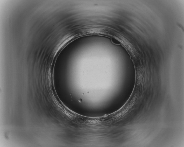 X0000097500798200802291557