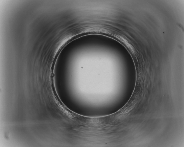 X0000097500799200802291557