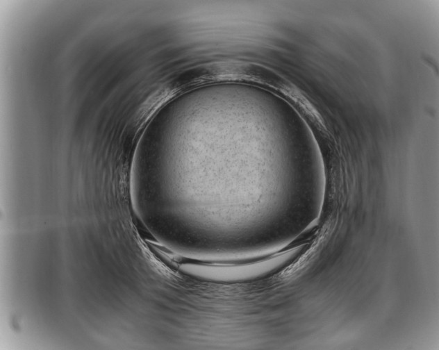 X0000097500801200802291557