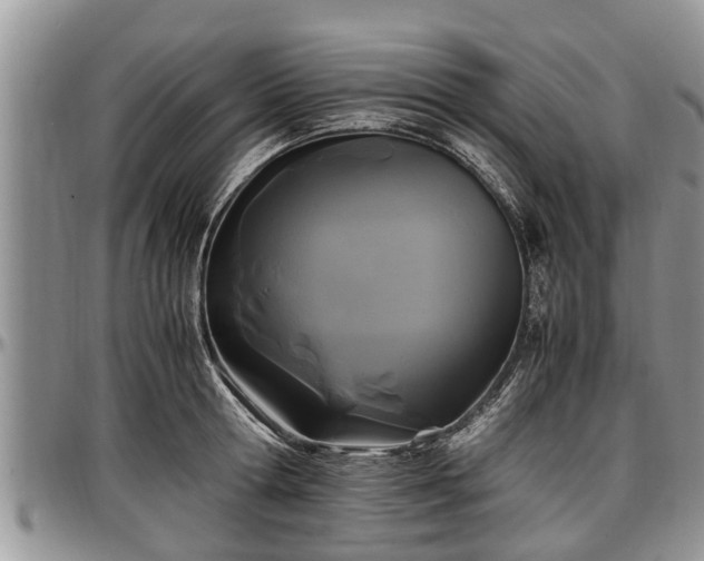 X0000097500802200802291557