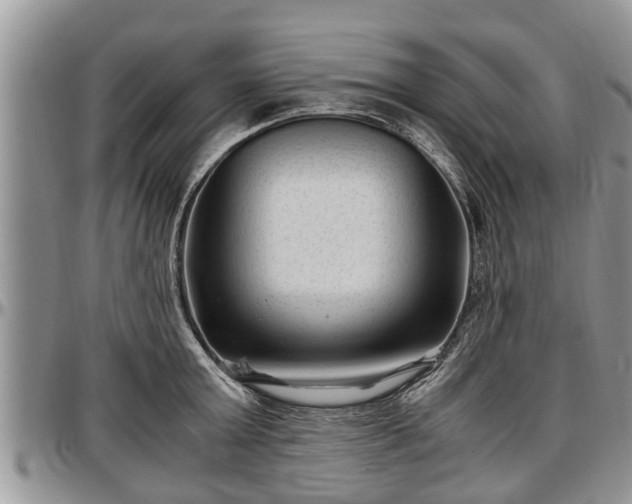 X0000097500803200802291557