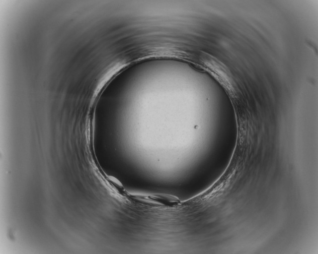 X0000097500804200802291557