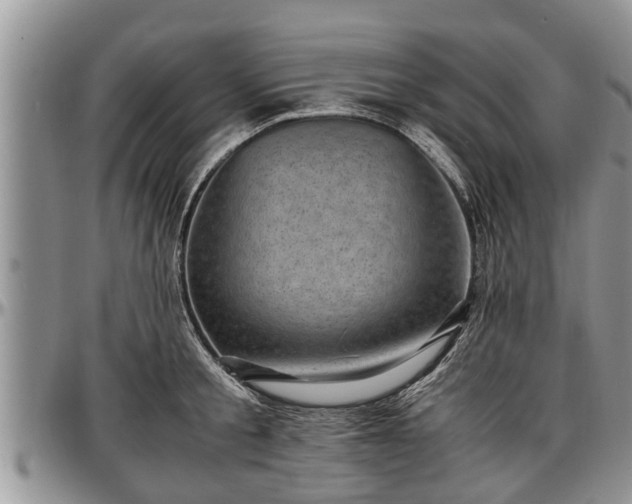 X0000097500805200802291557