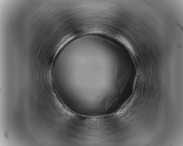 X0000097500806200802291557