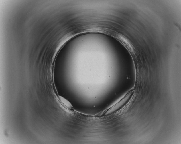 X0000097500808200802291557