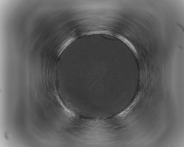 X0000097500809200802291557