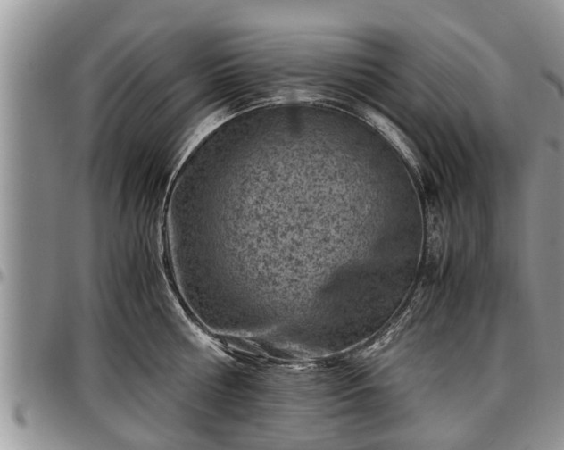 X0000097500810200802291557
