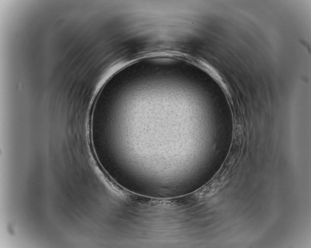 X0000097500811200802291557