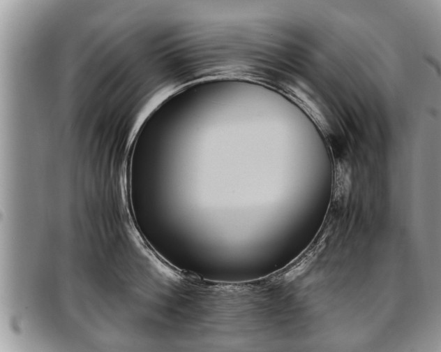 X0000097500812200802291557