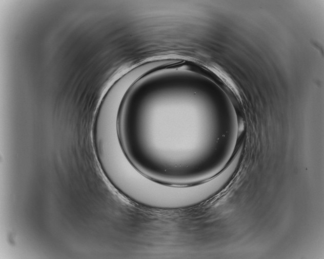 X0000097500813200802291557
