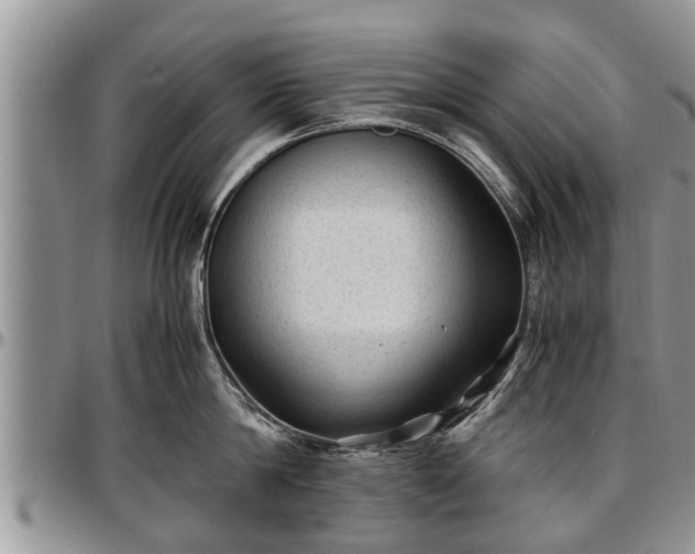X0000097500814200802291557