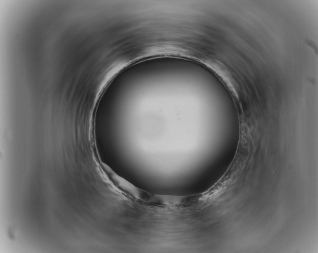 X0000097500815200802291557