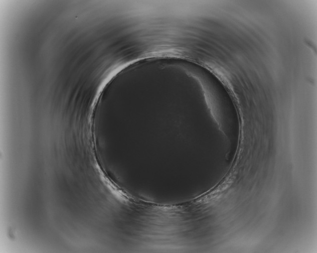 X0000097500816200802291557