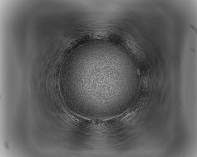 X0000097500817200802291556