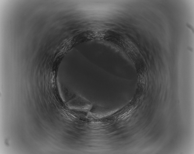 X0000097500818200802291556