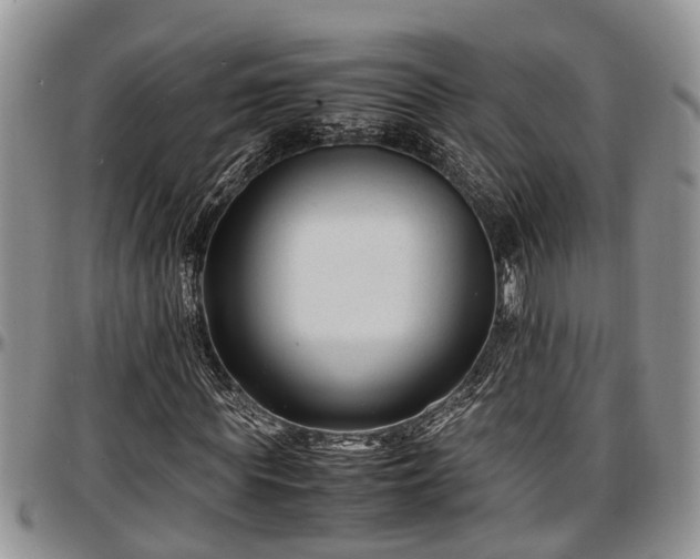 X0000097500819200802291556