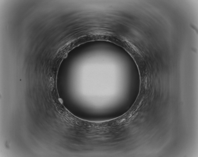 X0000097500821200802291556