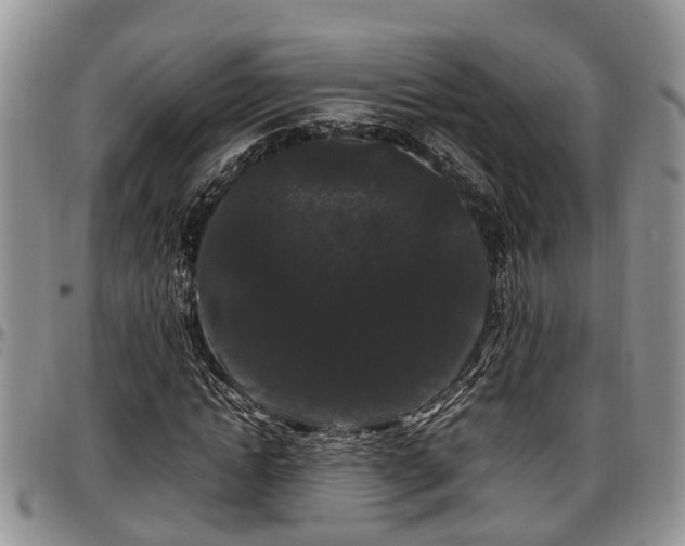 X0000097500822200802291556