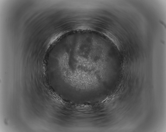 X0000097500823200802291556