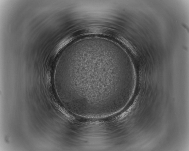 X0000097500826200802291556