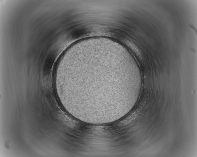 X0000097500828200802291556