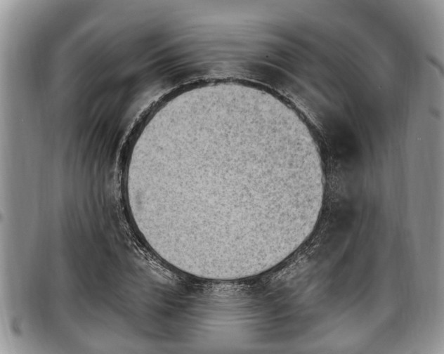 X0000097500832200802291556