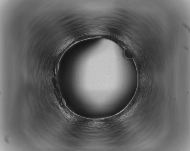 X0000097500833200802291556