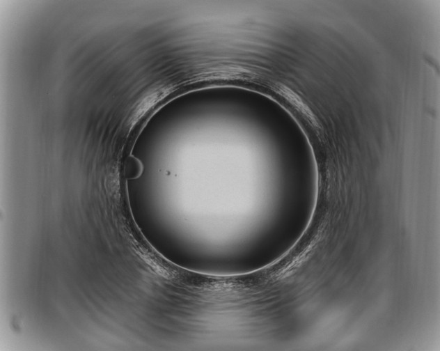 X0000097500834200802291556