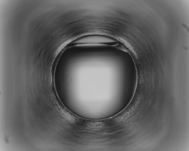 X0000097500837200802291556