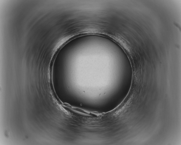 X0000097500839200802291556