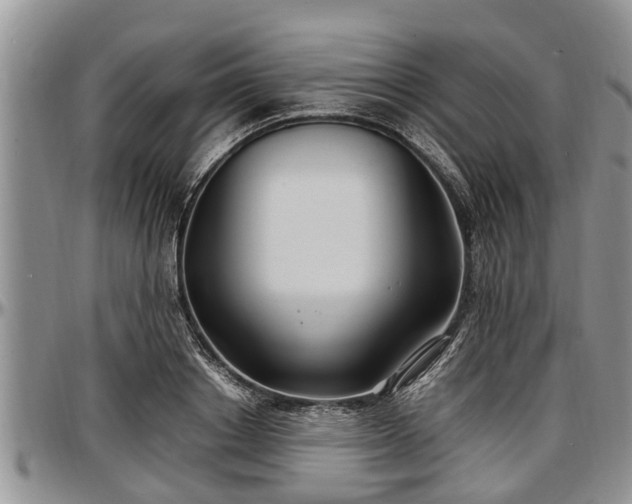 X0000097500842200802291556