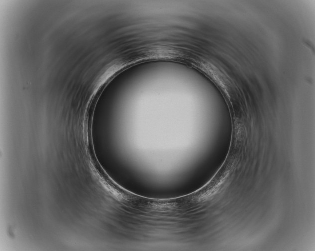 X0000097500843200802291556