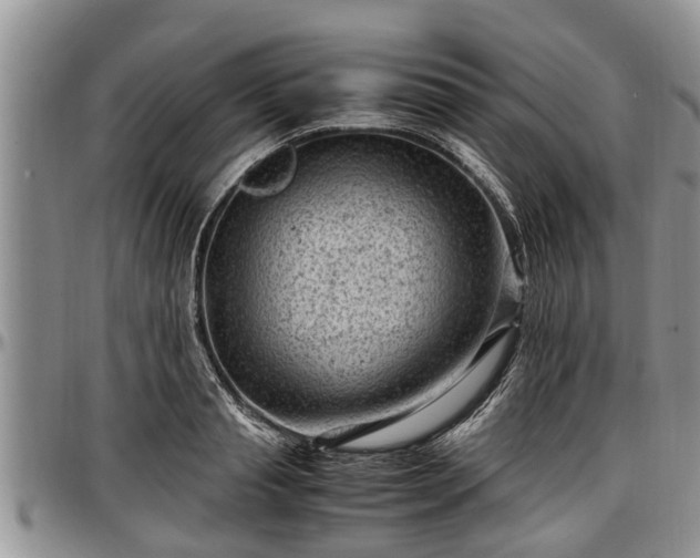 X0000097500845200802291556