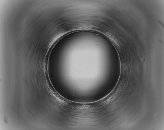 X0000097500846200802291556