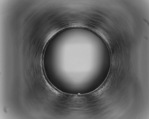 X0000097500847200802291556