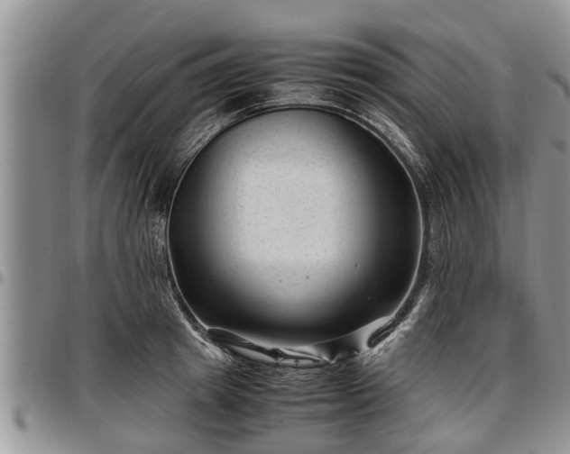 X0000097500849200802291556