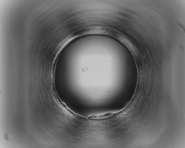 X0000097500852200802291556