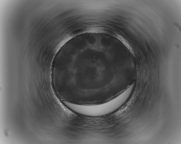 X0000097500853200802291556