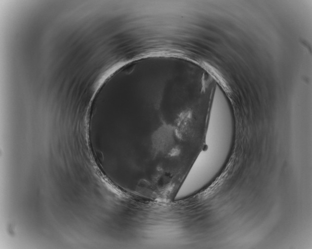 X0000097500854200802291556