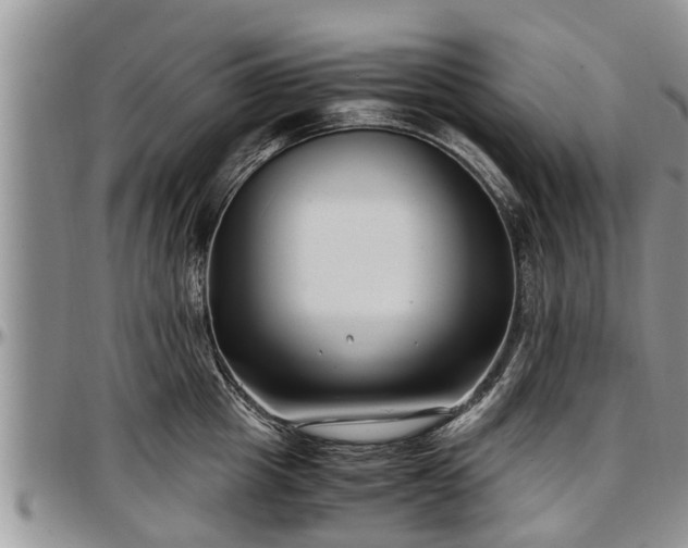 X0000097500857200802291556