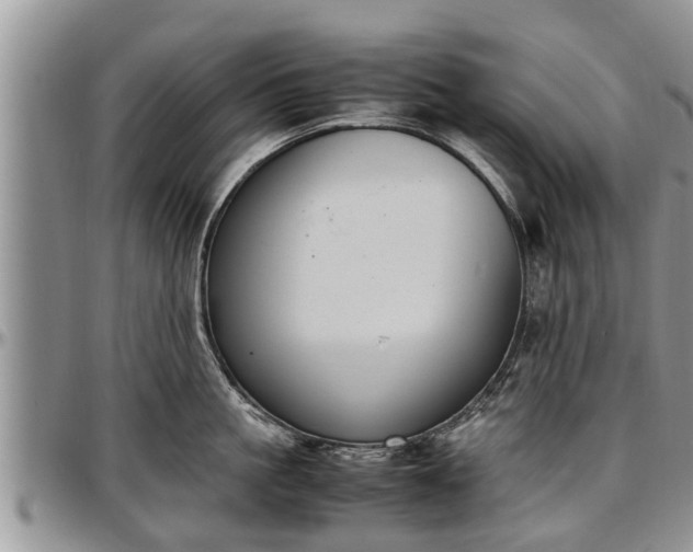 X0000097500861200802291557