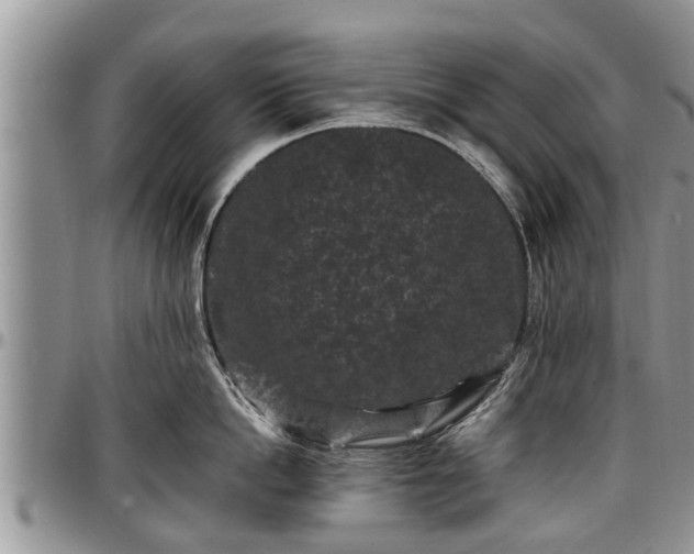 X0000097500862200802291557